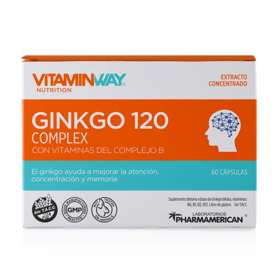 SUPL.GINKGO 120 COMPLEX+VIT.B - Imagen 1